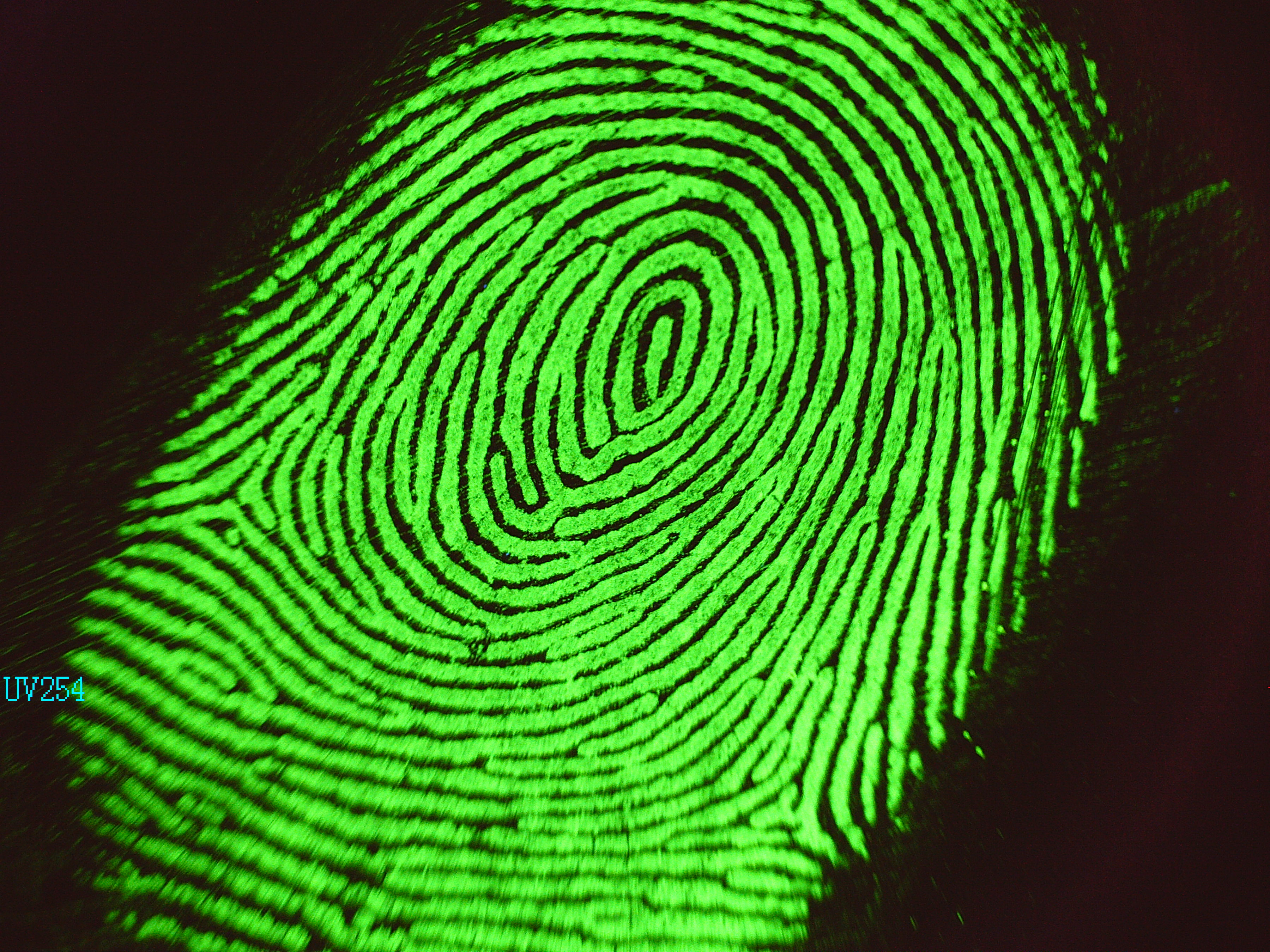 SCANER HS525 - Imagen 4